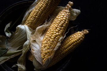 Close-up of raw yellow corn cobs with husks partially peeled back, arranged on a dark textured background.