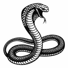 Fototapeta premium Snake attacking prey with striking posture on white background