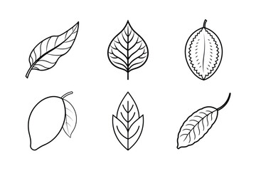 set of leaves vector