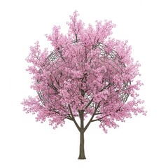 Obraz premium Cherry Blossom Tree with Geodesic Sphere Design