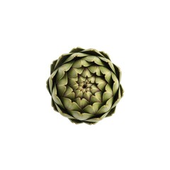 Fototapeta premium Fresh Artichoke Top View Isolated White Background