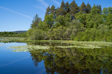 Clarack Loch near Dinnet in Scotland