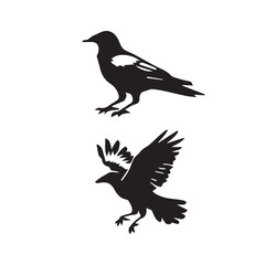crow set silhouette tattoo,crow set silhouette png ,crow set silhouette flying ,crow set silhouette images