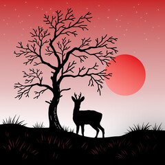 Abendstimmung mit Rehbock