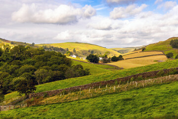 Obraz premium Hill farm surrounded by hills, mountains, fields, trees and dry stone walls, Staveley, The Lake District, Cumbria, England