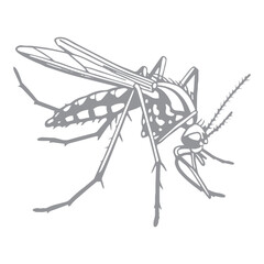 Mosquito