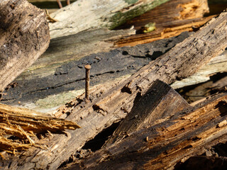 A rusty nail in old weathered wood.