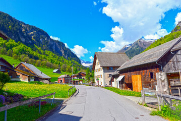 Weisstannen im Weisstannental, Mels, Kanton St. Gallen © Ilhan Balta