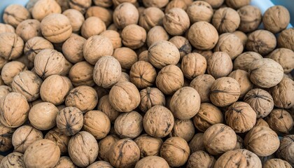 Close-up of many walnuts