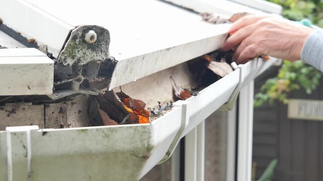 Removing autumn leaves from gutter