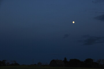 In My Travels on the Prairies and Abandoned Beauty