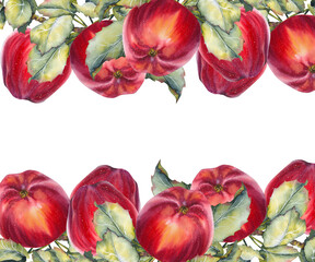 Watercolor rectangular frame with red apples and green leaves in a rich botanical style. Ideal for food packaging juice labels cookbook covers organic branding and seasonal advertisements.
