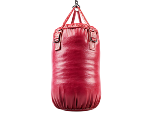 Boxing Bag