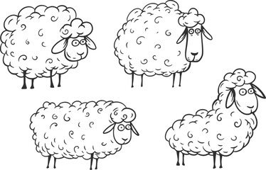 Sheep in cartoon hand drawn doodle style. Set of cute vector character farm animal for children print.