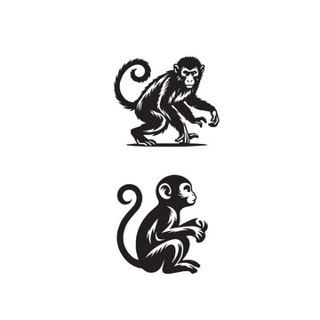 Monkey Silhouette Vector Set Black and White

Wild Monkey Animal Outline Collection

Primate Silhouette Illustration Pack