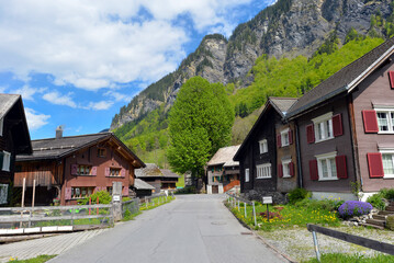 Weisstannen im Weisstannental, Mels, Kanton St. Gallen
