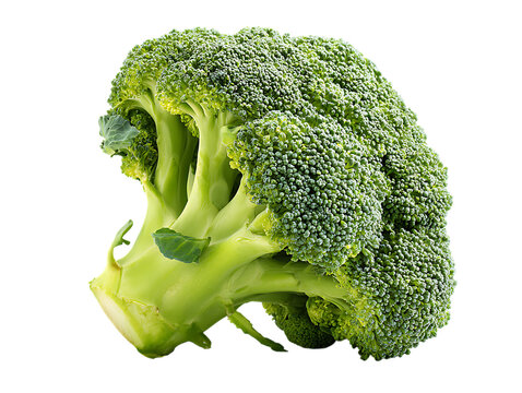 Broccoli rabe half slice
