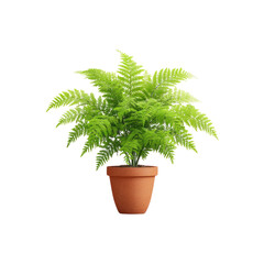Fototapeta premium Lush Green Fern in a Terracotta Pot with Vibrant Foliage Enhancing Indoor Spaces Aesthetic