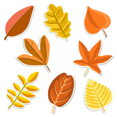 Obraz premium set of stickers autumn leaves yellow and orange