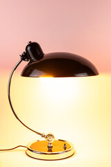 Light lamp growing in the room