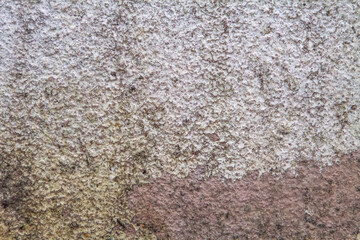 Close-up of a weathered wall texture with various color shades.