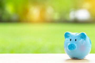 piggy bank  over blurred green garden  background