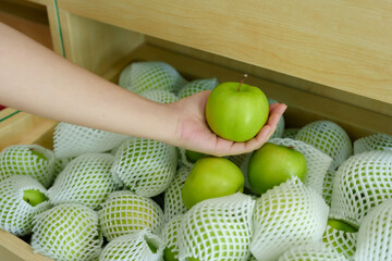 Green apple held in palm placed among foam-wrapped fruits inside wooden display crate in fruit shop showing fresh quality tropical produce in clean, organized green grocery interior.