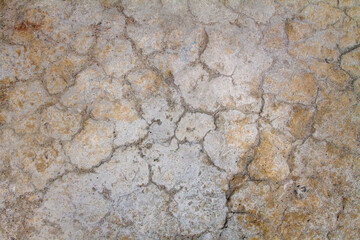 stone wall texture