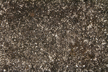 Close-up Texture of Weathered Concrete Surface