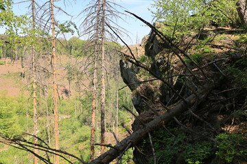 Frühlingslandschaft an den Dörenther Klippen bei Ibbenbüren in Nordrhein-Westfalen