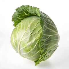 Fototapeta premium A whole cabbage head floats against a pure white background.