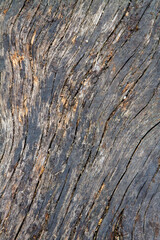 Close-up of weathered wood with prominent grain and texture
