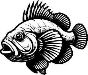Detailed monochrome illustration of a fish with prominent fins and open mouth in a side view design