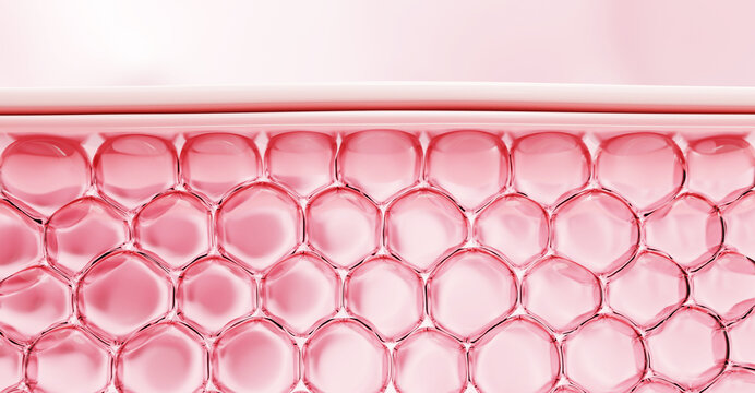 3D visualization of skin layer with hydrated collagen cells. Perfect for anti-aging, skincare ingredient, or elasticity boosting visuals.