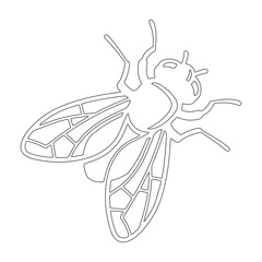 flies icon