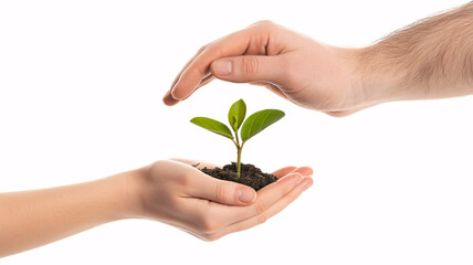 Caring hands nurture a seedling symbolizing growth, hope, and environmental stewardship for a sustainable future and a flourishing planet