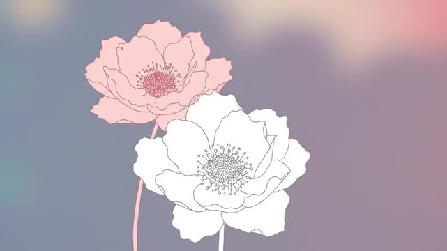 Delicate anemones illustration
