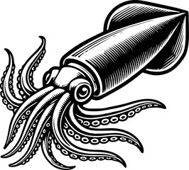Illustration of a squid with detailed tentacles and body in black and white vector format image design