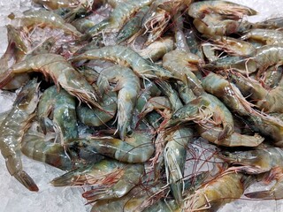 Pile of raw shrimp and prawns on crushed ice at a market, with shells, heads and antennae visible.