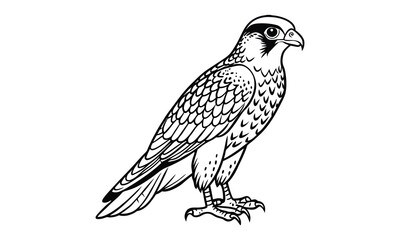 Obraz premium Falcon animal Kids t shirt design silhouette and vector line art, High-Quality Illustration, Ideal for Relaxation and Stress Relief, Perfect for Adult Coloring Books and Art Therapy.