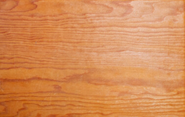 Close-up of Wood Grain Texture