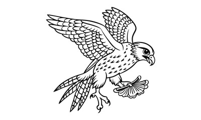Obraz premium Falcon animal Kids t shirt design silhouette and vector line art, High-Quality Illustration, Ideal for Relaxation and Stress Relief, Perfect for Adult Coloring Books and Art Therapy.