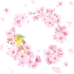 春の花：桜とメジロの水彩イラストで構成した円形装飾フレーム。花びらの背景。