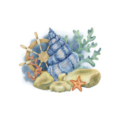 Watercolor marine illustration with rocks, algae, shells and a wooden ship rudder.