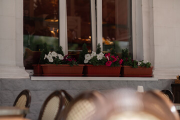 Flowers Window Cafe: Petunias decorate exterior on sunny day, enhancing ambiance for seated customers.