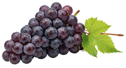 Isolated bunch of grapes