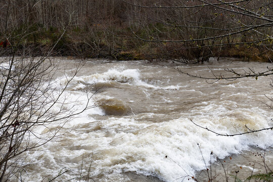 Flooded river in the Pacific Northwest, Oregon, high water moving rapidly through a winter landscape, horizontal aspect