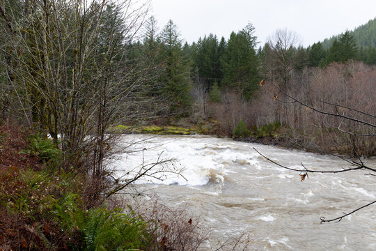 Floodwaters rushing through a winter landscape in Oregon, Pacific Northwest flooding, river rapids, horizontal aspect