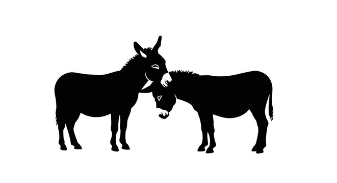 Two donkeys standing close together, one nuzzling the other.