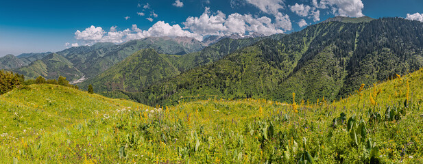 Stunning panoramic view of mountain slopes covered with lush green grass and colorful wildflowers...